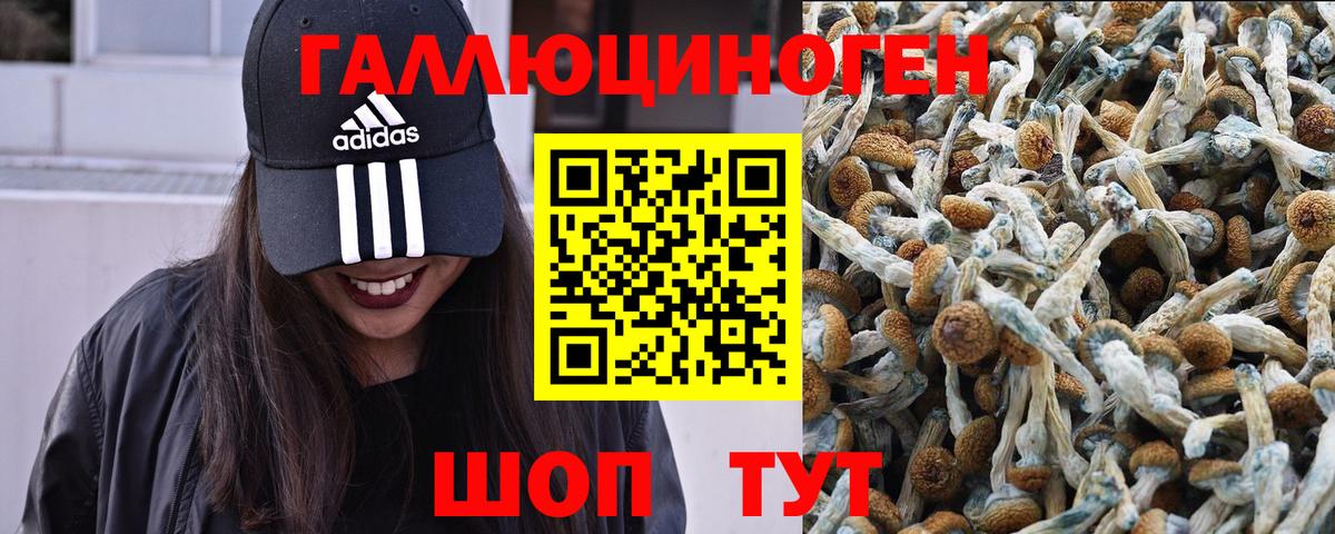 Галлюциногенные грибы GOLDEN TEACHER Ялта
